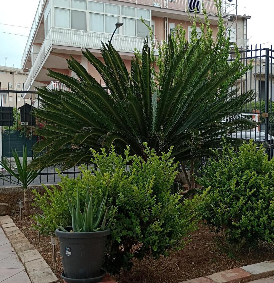 트라비아 La Cycas B&B 외부 사진